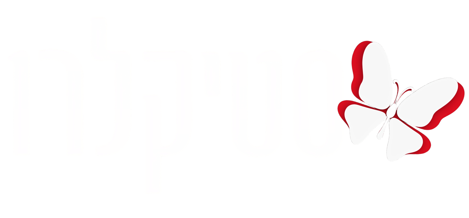 Stiklaro Academy